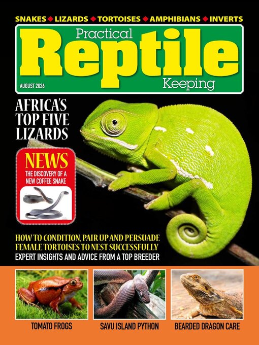 Cover image for Practical Reptile Keeping